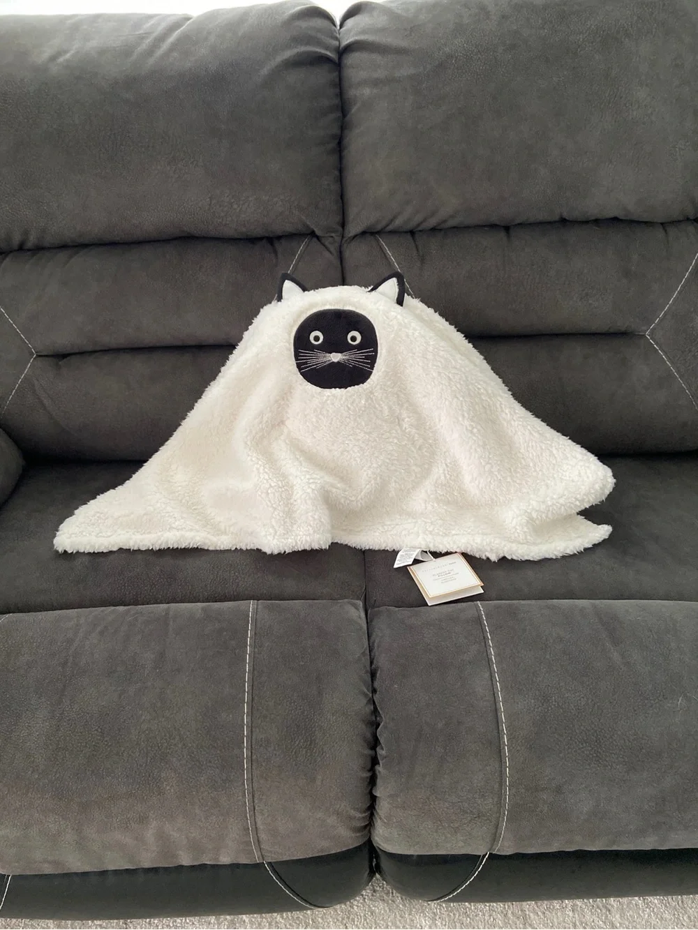 Scaredy Cat Pillow Pottery Barn NWT